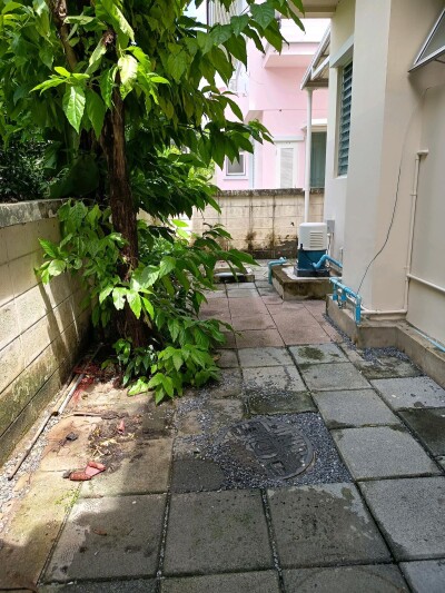 ชลลดา สุวรรณภูมิ-9