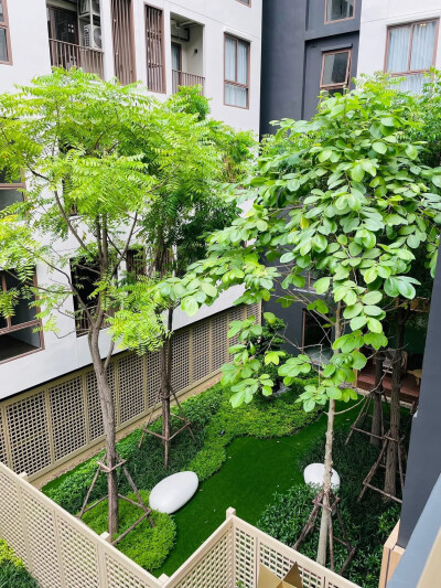 ควินทารา มาย‘เซน พร้อมพงษ์ / QUINTARA MHy’ZEN PHROM PHONG