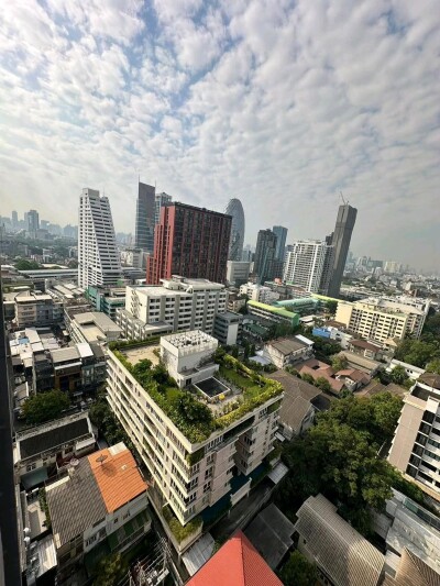 โนเบิล รีเฟลกซ์ / Noble Reflex-12