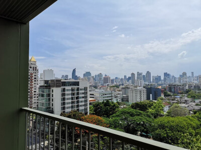 โนเบิล โซโล / Noble Solo-8