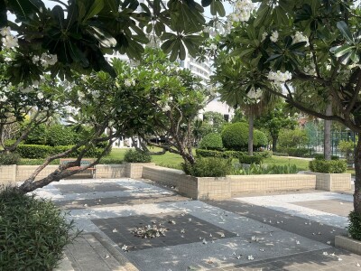 ริเวอร์ เฮเว่น (เจริญกรุง 76/1) / พื้นที่ประมาณ 63 ตรม รวมระเบียง-18