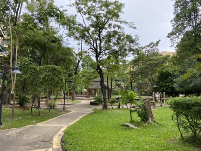 เดอะ พาร์คแลนด์ บางนา / The Parkland Bangna-11