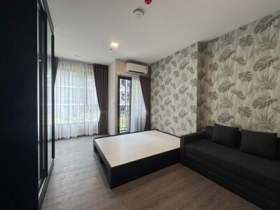 โมดิซ อาวองการ์ด / Modiz Avantgarde-1