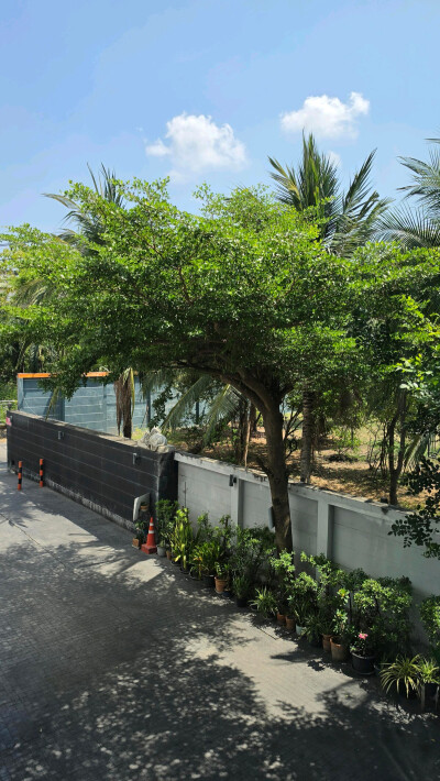 ดี5 คอนโดมิเนียม /  D5 Condominium-12