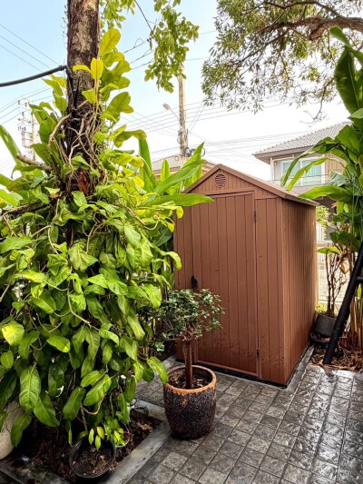 พฤกษ์ลดา วงแหวน - หทัยราษฏร์-15