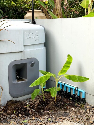 พฤกษ์ลดา วงแหวน - หทัยราษฏร์-16