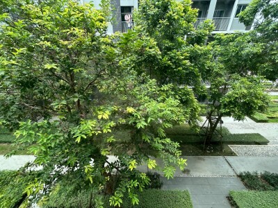 ลุมพินี คอนโดทาวน์ เอกชัย 48 / 1 ห้องนอน 1 ห้องน้ำ ขนาด 34 ตรม