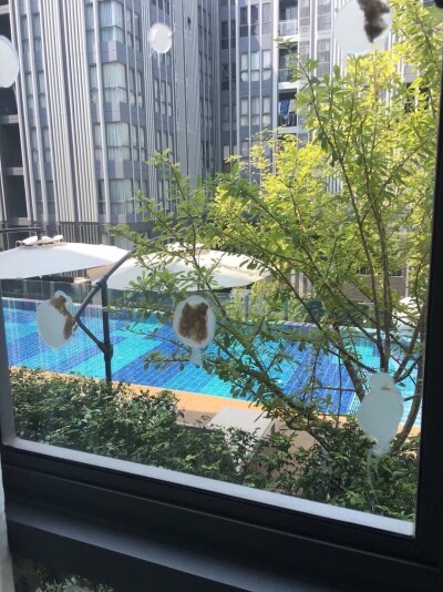 โมนีค สุขุมวิท 64 / 32 ตรม. #123/232 3 ชั้น-10