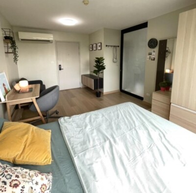 เอลลิโอ เดล เรย์ สุขุมวิท 64 / ELIO Del Ray Sukhumvit 64-6