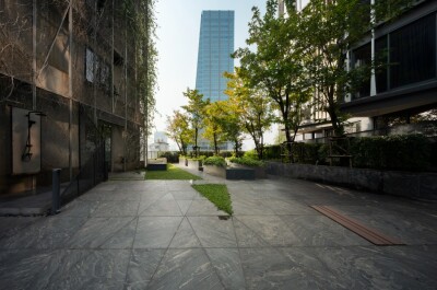 ไซมิส ราชครู / Siamese Ratchakru