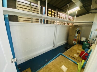 พลัส ซิตี้พาร์ค ศรีนครินทร์ - สวนหลวง / 33 ตารางวา 3 ห้องนอน 3 ห้องน้ำ-16