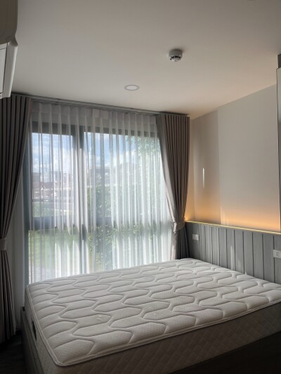 บริกซ์ตัน เพ็ทแอนด์เพลย์ พหลฯ 50 สเตชั่น / Brixton Pet&Play Phahol 50-4