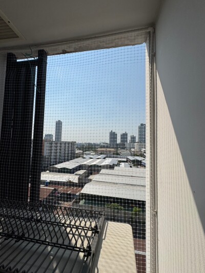 รีเจ้นท์ โฮม สุขุมวิท 81 / Regent Home Sukhumvit 81-11