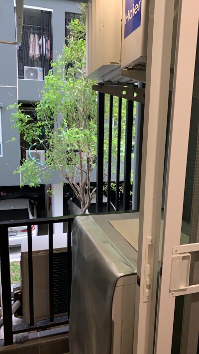 รีเจ้นท์ โฮม สุขุมวิท 97/1 / Regent Home Sukhumvit 97/1-8