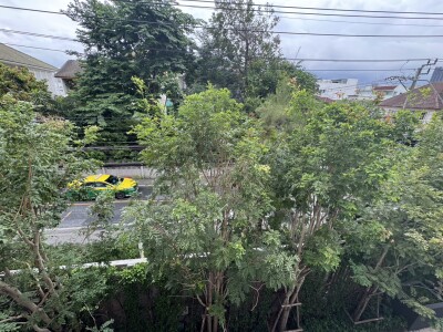 กู๊ดเดย์ สุขุมวิท 93 / GOOD DAY Sukhumvit 93-12