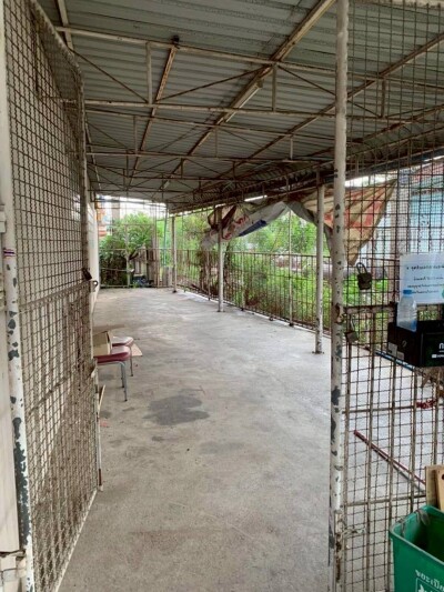 ขาย/ให้เช่า อาคารพาณิชย์ 4 ชั้น 2 ห้องริม ติดคลองบางยาง – ทำเลทองบนถนนพุทธมณฑลสาย 6 --3