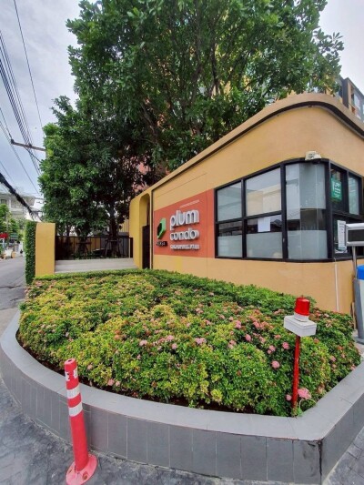 พลัมคอนโด สุขุมวิท 97.1 / Plum Condo Sukhumvit 97.1