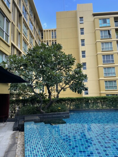 ไฮฟ์ สุขุมวิท 65 / Hive Sukhumvit 65